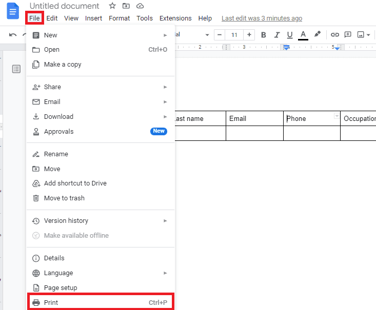 Image accompanying: Step 4: Print out your Google Doc