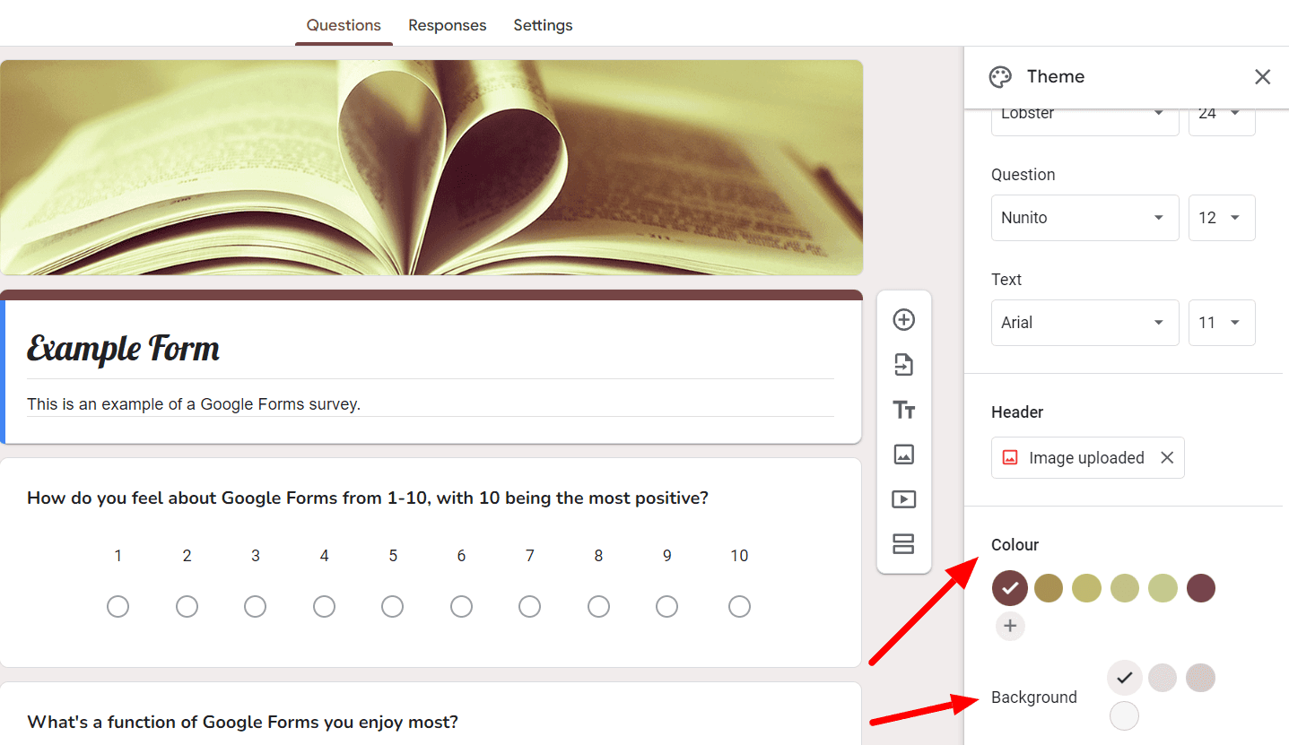 Image accompanying: Step 5: Choose the color scheme for your form