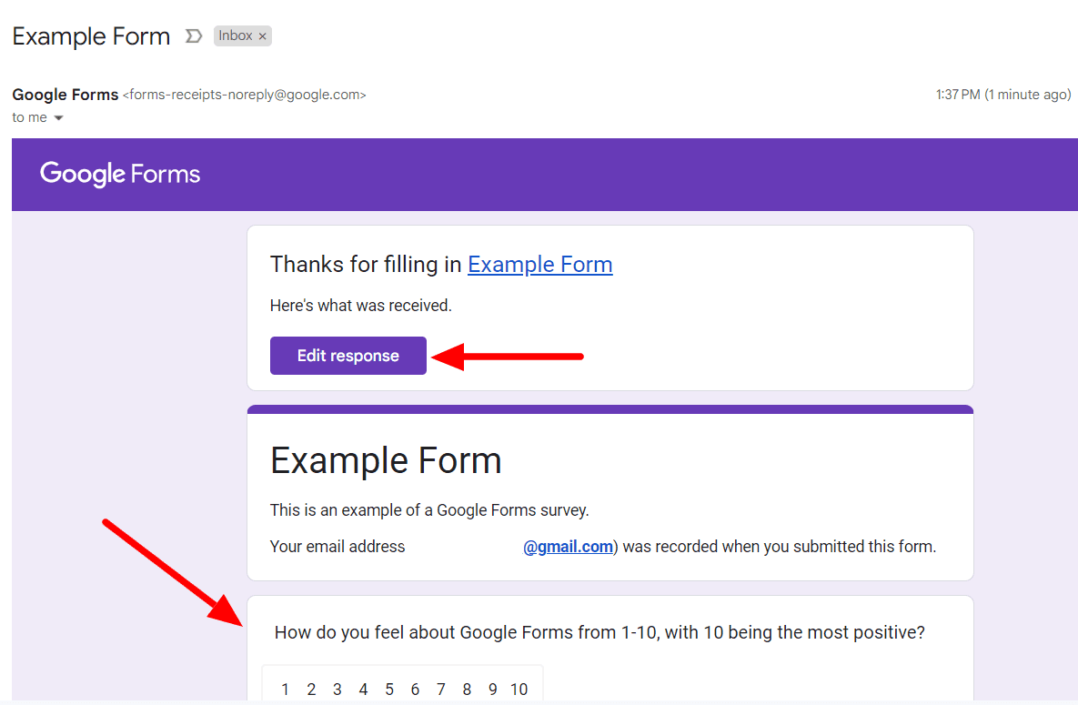 Image accompanying: Through the Google Forms receipt email