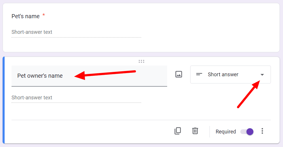 Image accompanying: Step 2: Create fields for pet’s and owner’s names