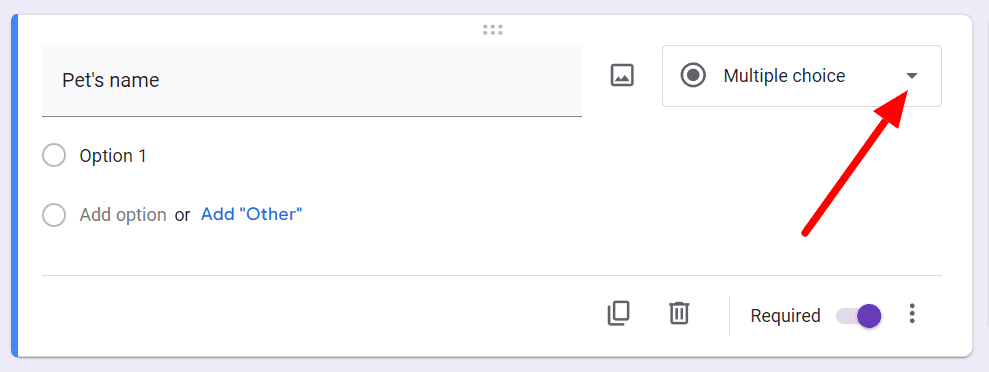 Image accompanying: Step 2: Create fields for pet’s and owner’s names